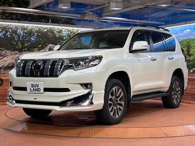 2022 Toyota LAND CRUISER PRADO 照片 34