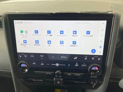 2025 Toyota ALPHARD — фото 31