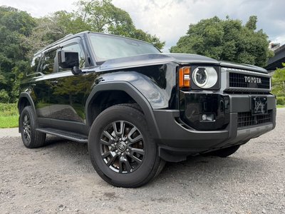 2024 Toyota LAND CRUISER 250 thumbnail 19