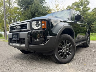 2024 Toyota LAND CRUISER 250 photo 10