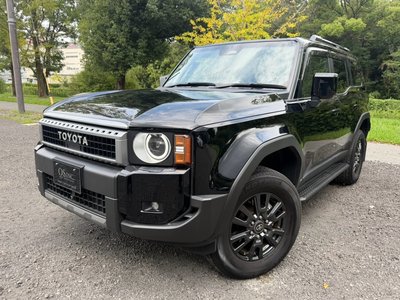 2024 Toyota LAND CRUISER 250 photo 9