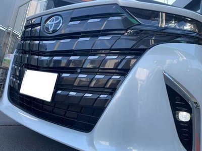 2025 Toyota ALPHARD — фото 73