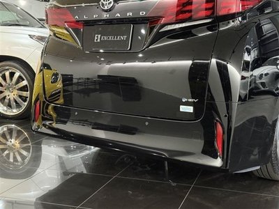 2024 Toyota ALPHARD 照片 16