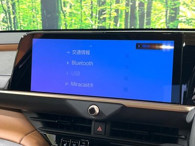 2025 Toyota CROWN ESTATE — миниатюра 36