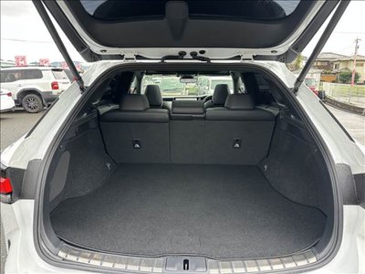 2023 Lexus RX photo 16