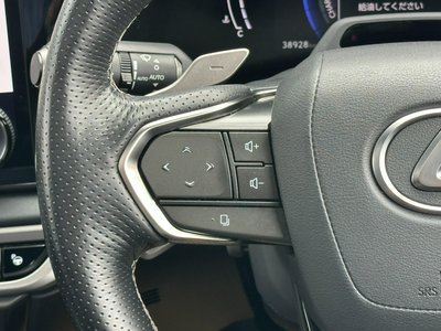 2023 Lexus RX thumbnail 24
