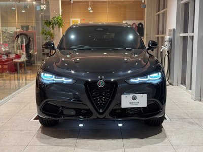 2025 ALFA Romeo STELVIO — фото 17