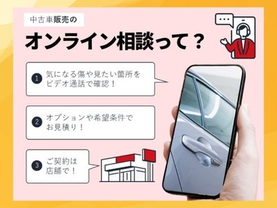 2023 Toyota ALPHARD photo 27