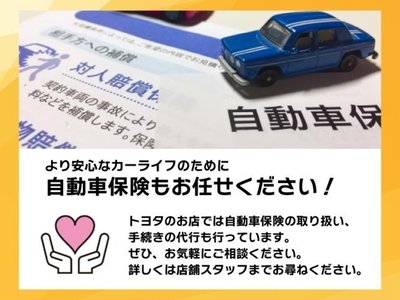 2023 Toyota ALPHARD photo 35