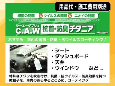 2023 Toyota ALPHARD photo 39