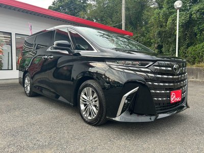 2026 Toyota ALPHARD 缩略图 22