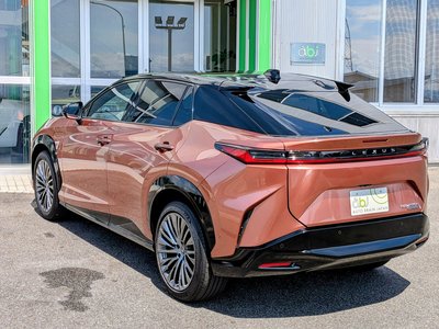 2023 Lexus RZ 照片 24