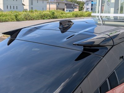 2023 Lexus RZ 照片 31
