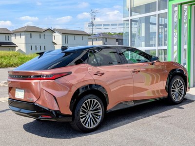2023 Lexus RZ 照片 34