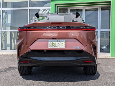 2023 Lexus RZ 照片 29
