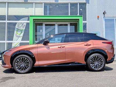 2023 Lexus RZ 照片 23
