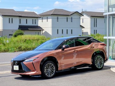 2023 Lexus RZ 照片 17