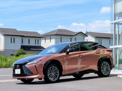 2023 Lexus RZ 照片 18