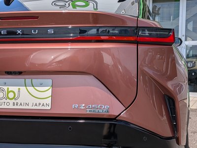 2023 Lexus RZ 照片 30