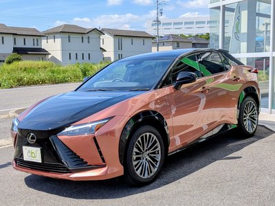 2023 Lexus RZ 照片 19