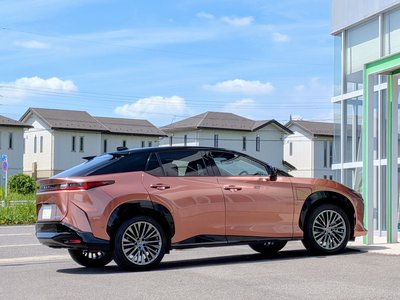 2023 Lexus RZ 照片 33