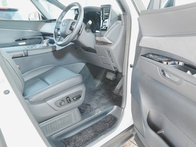 2024 Lexus LM 照片 56