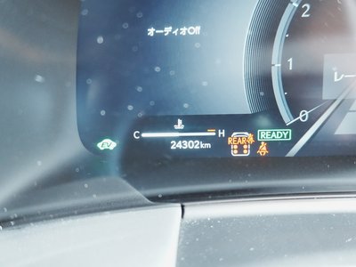 2024 Lexus LM 照片 18