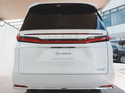 2024 Lexus LM 照片 51