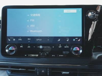 2024 Lexus LM 照片 11