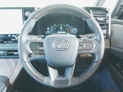 2024 Lexus LM 照片 8