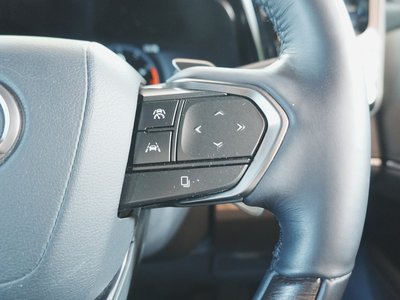 2024 Lexus LM 照片 22
