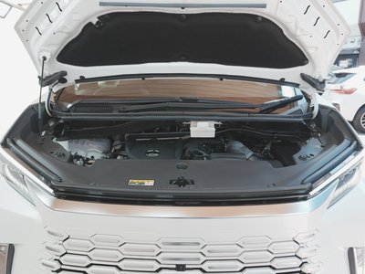 2024 Lexus LM 照片 43