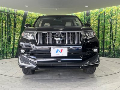 2022 Toyota LAND CRUISER PRADO 照片 14