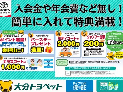 2024 Toyota LAND CRUISER 300 thumbnail 7