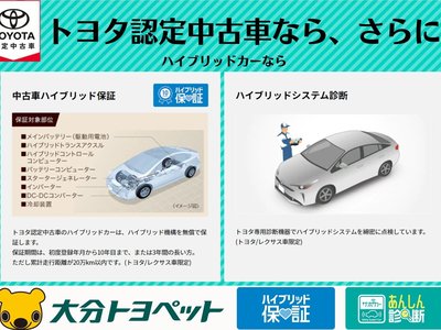 2024 Toyota LAND CRUISER 300 thumbnail 87
