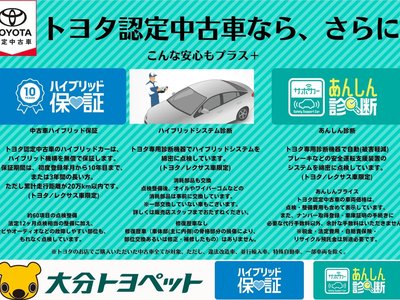 2024 Toyota LAND CRUISER 300 thumbnail 86