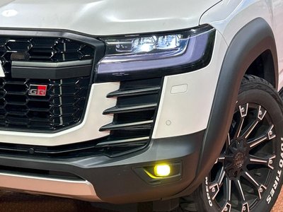 2023 Toyota LAND CRUISER 300 照片 12