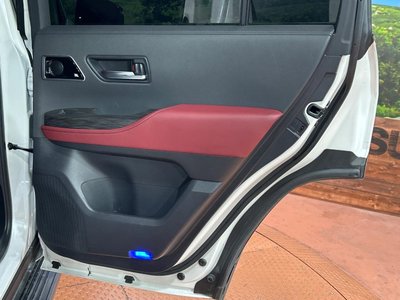 2023 Toyota LAND CRUISER 300 照片 34