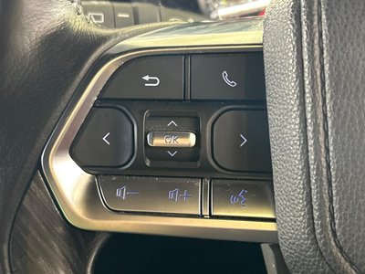 2023 Toyota LAND CRUISER 300 照片 49