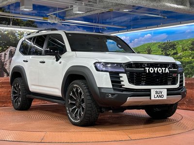 2023 Toyota LAND CRUISER 300 照片 16