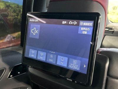 2023 Toyota LAND CRUISER 300 照片 3