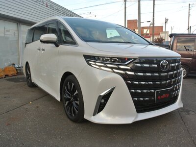 2024 Toyota ALPHARD — фото 10