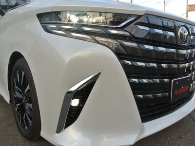 2024 Toyota ALPHARD — фото 22