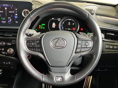 2021 Lexus ES photo 15