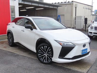 2023 Lexus RZ — фото 30