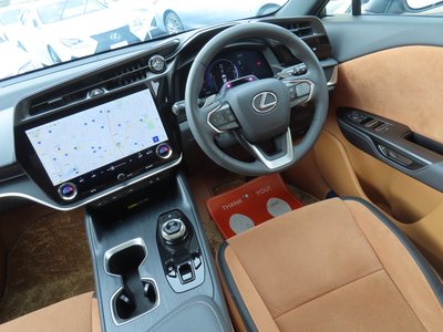 2023 Lexus RZ — фото 51
