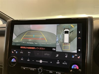 2024 Toyota ALPHARD — фото 16