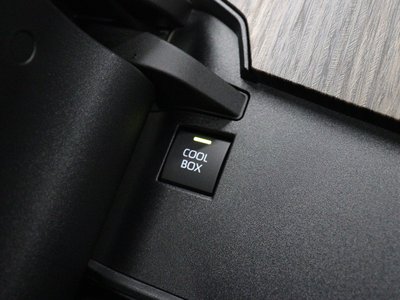 2025 Toyota LAND CRUISER 300 photo 6