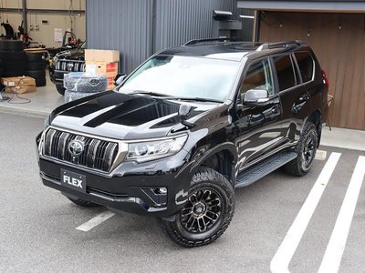 2021 Toyota LAND CRUISER PRADO photo 9