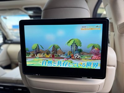 2025 Toyota LAND CRUISER 300 photo 10